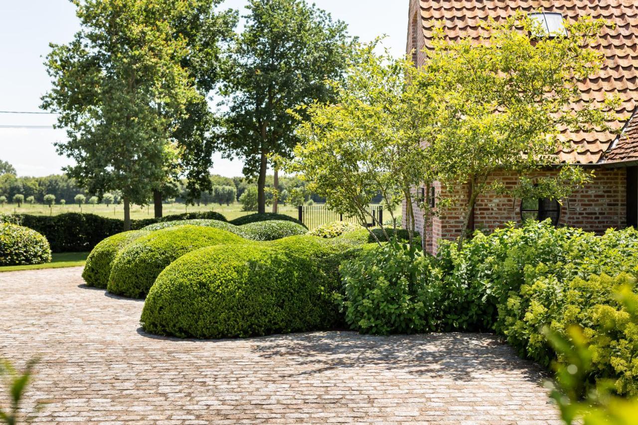 Hoeve Den Akker - Luxueuze Vakantiewoningen Met Privetuinen En Alpaca'S Nabij Brugge, Damme, Knokke, Sluis En Cadzand Exteriér fotografie