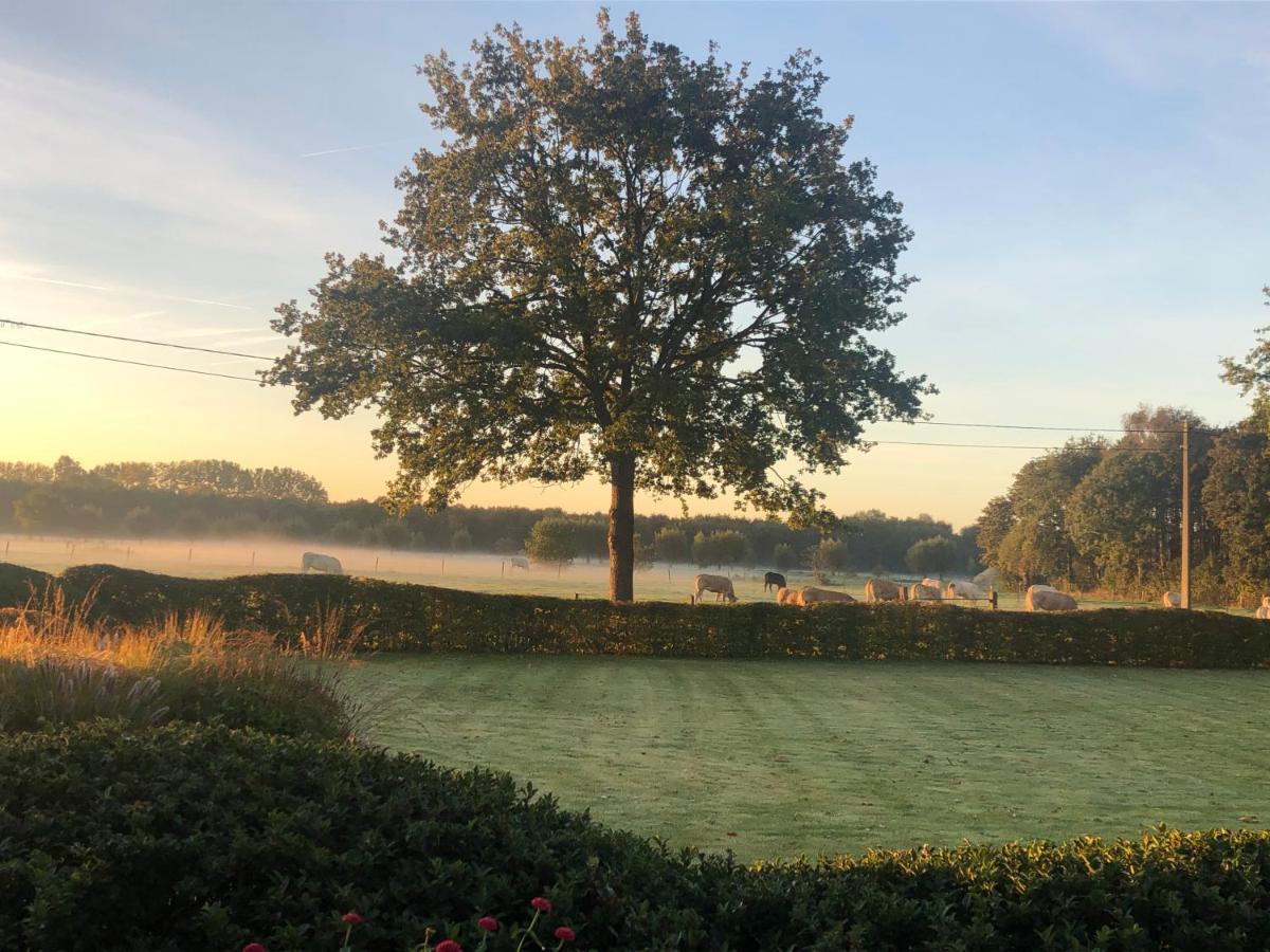 Hoeve Den Akker - Luxueuze Vakantiewoningen Met Privetuinen En Alpaca'S Nabij Brugge, Damme, Knokke, Sluis En Cadzand Exteriér fotografie