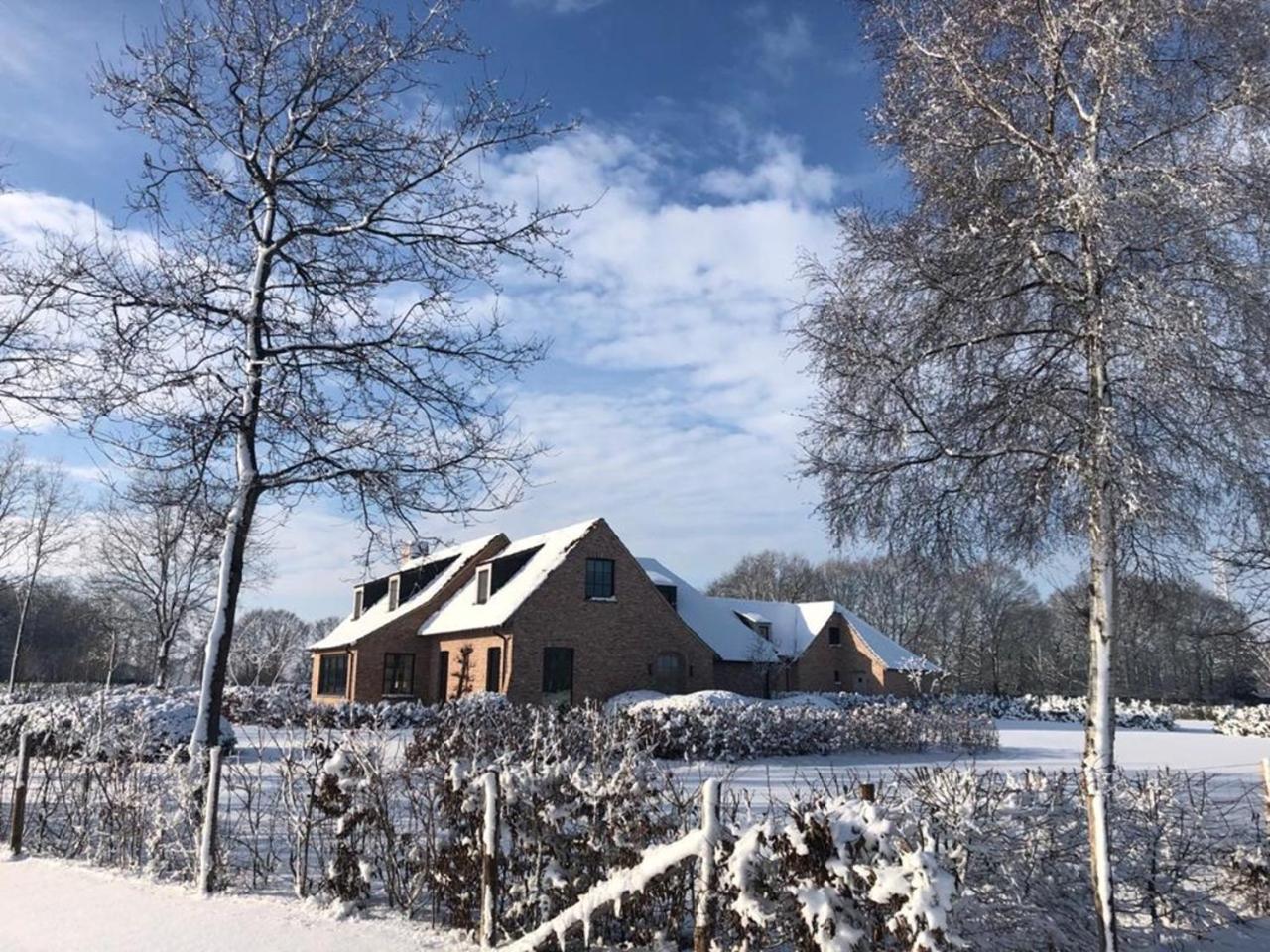 Hoeve Den Akker - Luxueuze Vakantiewoningen Met Privetuinen En Alpaca'S Nabij Brugge, Damme, Knokke, Sluis En Cadzand Exteriér fotografie