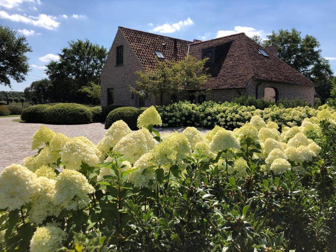 Hoeve Den Akker - Luxueuze Vakantiewoningen Met Privetuinen En Alpaca'S Nabij Brugge, Damme, Knokke, Sluis En Cadzand Exteriér fotografie