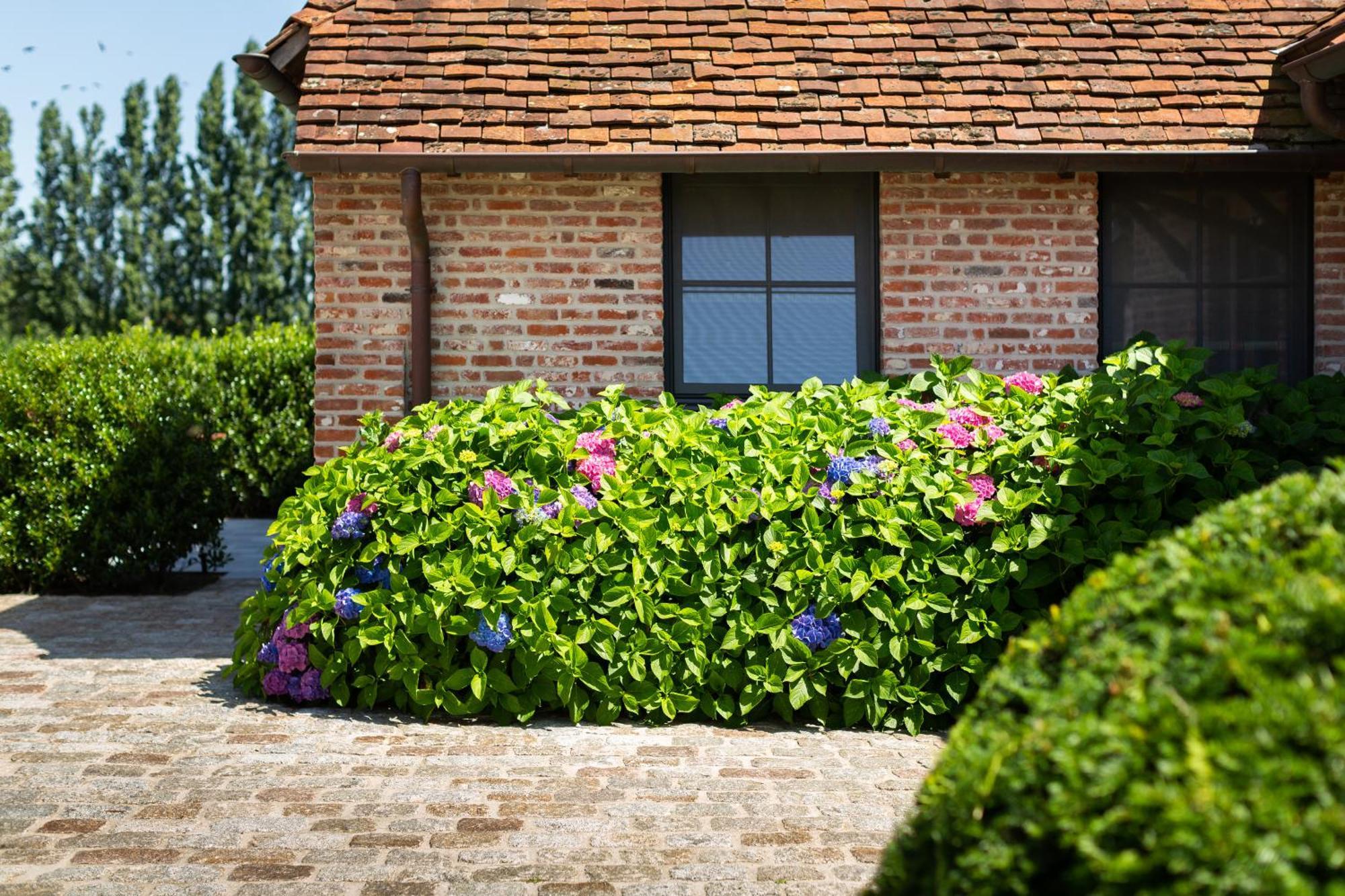 Hoeve Den Akker - Luxueuze Vakantiewoningen Met Privetuinen En Alpaca'S Nabij Brugge, Damme, Knokke, Sluis En Cadzand Exteriér fotografie