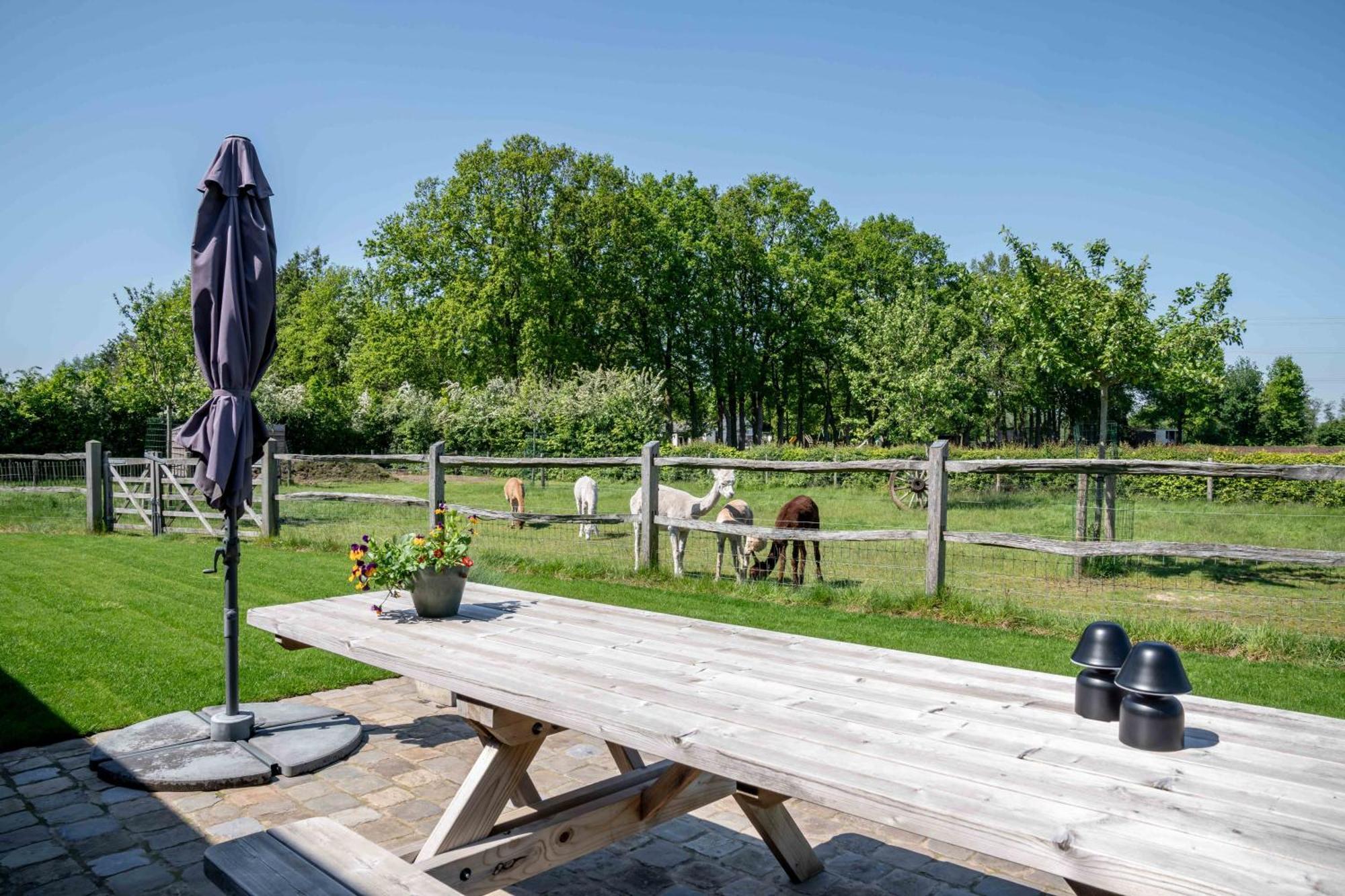 Hoeve Den Akker - Luxueuze Vakantiewoningen Met Privetuinen En Alpaca'S Nabij Brugge, Damme, Knokke, Sluis En Cadzand Exteriér fotografie