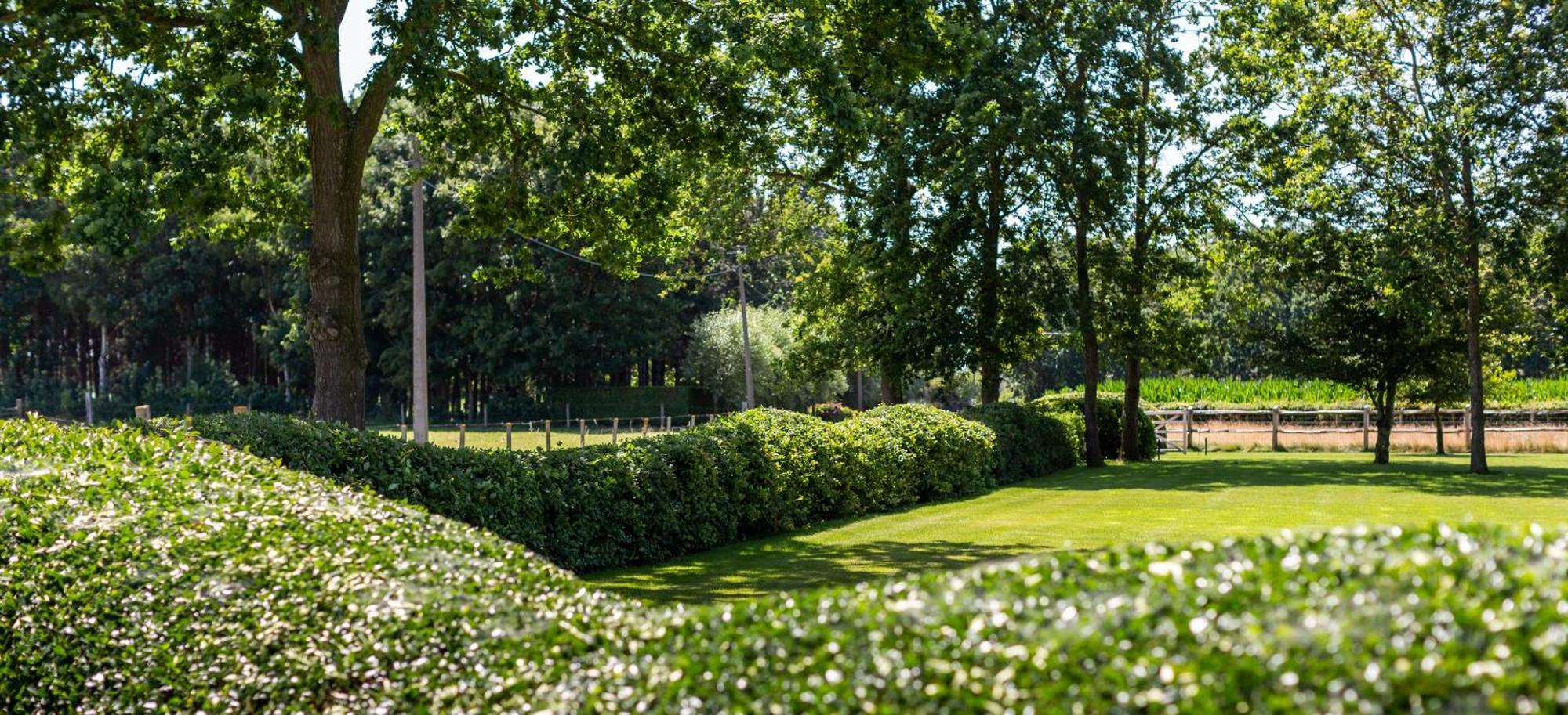 Hoeve Den Akker - Luxueuze Vakantiewoningen Met Privetuinen En Alpaca'S Nabij Brugge, Damme, Knokke, Sluis En Cadzand Exteriér fotografie
